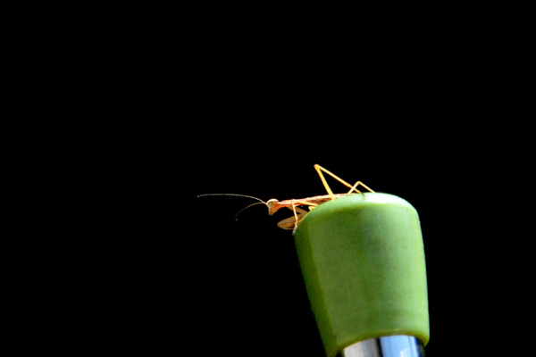 2026年4月の写真